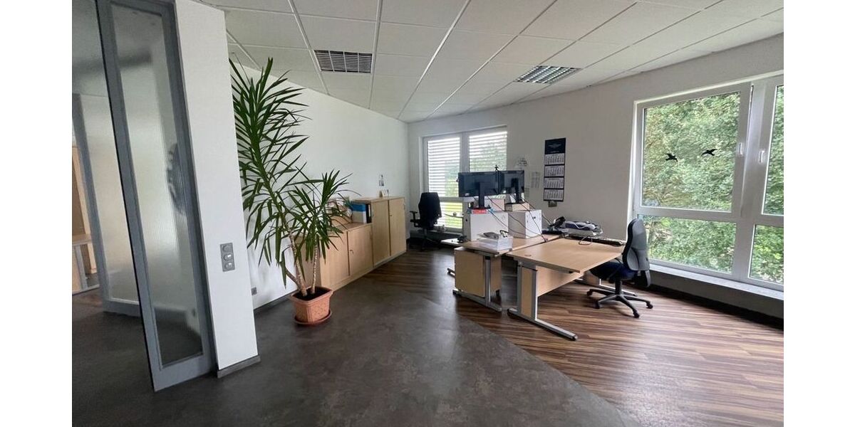 3 Monate mietfrei! Erfolgreich arbeiten im Wirtschaftsraum Montabaur - Gewerbeobjekt Dernbach | Angebot:26686855