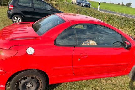 Peugeot 206 149.450 km 650 &euro; Braunschweig 38120