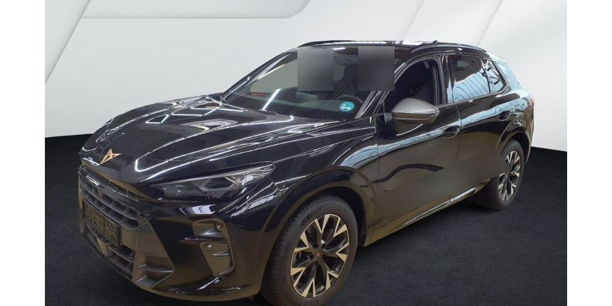 Cupra Terramar 22.664 km 34.425 &euro; Bernau 16321