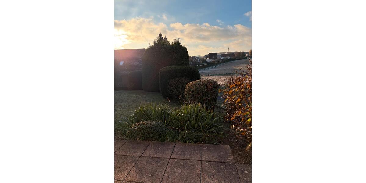 Etagenwohnung Reiskirchen - 2 Zimmer, 55 m&sup2;, 750&euro; | Angebot:26229768