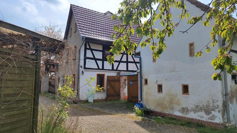 Mehrfamilienhaus, Wohnhaus Langenleuba-Niederhain Niederhain - 7 Zimmer, 160 m&sup2;, 119.000&euro; | Angebot:26683757