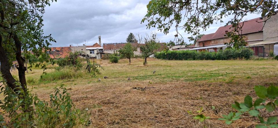 Einfamilienhaus Tangermünde - 5 Zimmer, 165 m&sup2;, 109.000&euro; | Angebot:27030370