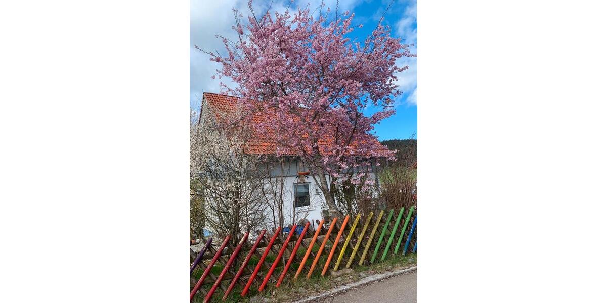 Einfamilienhaus Sankt Georgen im Schwarzwald - 4 Zimmer, 90 m&sup2;, 295.000&euro; | Angebot:26211599