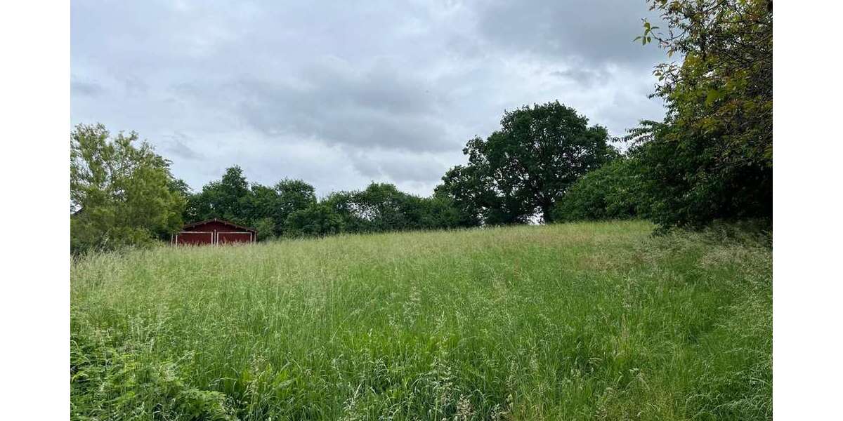 Grundstück zu verkaufen in Falkenberg 250.000 € 9737 m² zimmer