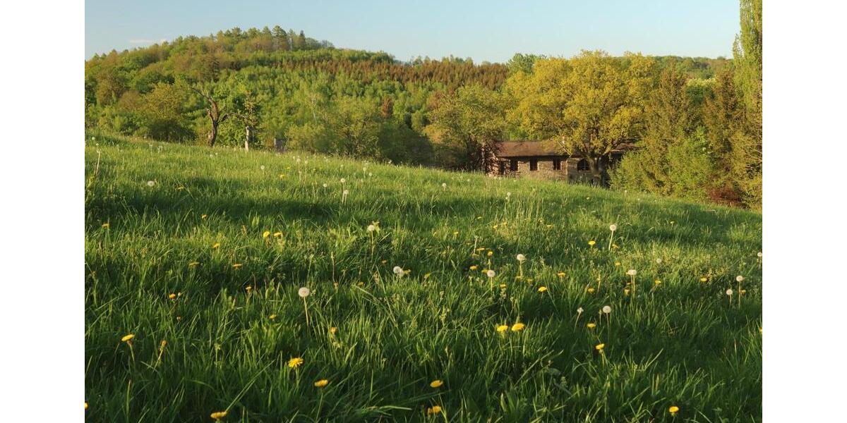 Einfamilienhaus Bad Lauterberg im Harz - 3 Zimmer, 180 m&sup2;, 950&euro; | Angebot:24834099