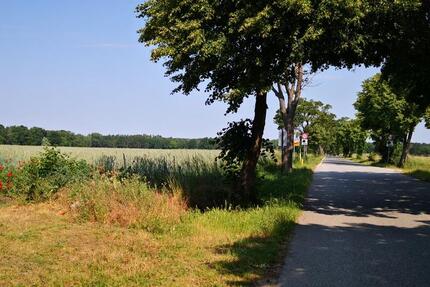 3Raumwohnung nahe Pritzwalk 3 zimmer