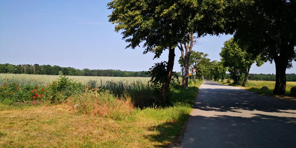 3Raumwohnung nahe Pritzwalk 3 zimmer