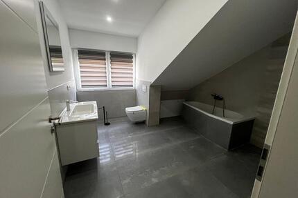 Neubau Haus zu vermieten 4 Zimmer Mannheim Blumenau