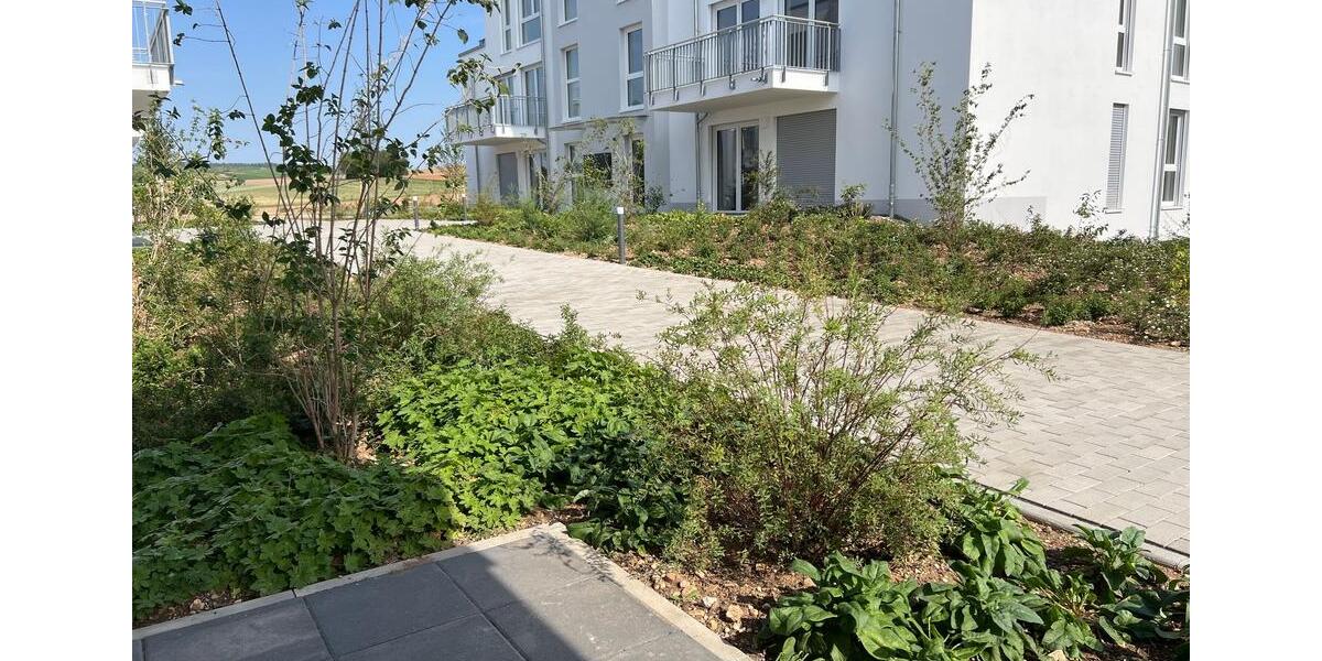 Etagenwohnung Hargesheim - 2 Zimmer, 66 m&sup2;, 890&euro; | Angebot:22242480