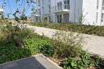 Etagenwohnung Hargesheim - 2 Zimmer, 66 m&sup2;, 890&euro; | Angebot:22242480