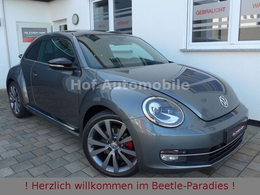 Beetle