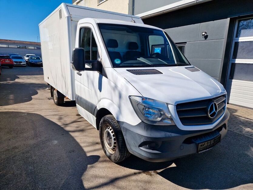 Sprinter