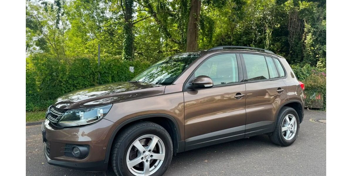 VW Tiguan 217.000 km 7.500 &euro; Heek 48619