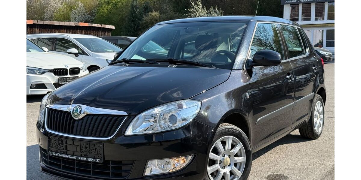 Skoda Fabia 95.000 km 4.600 &euro; Osterode am Harz 37520
