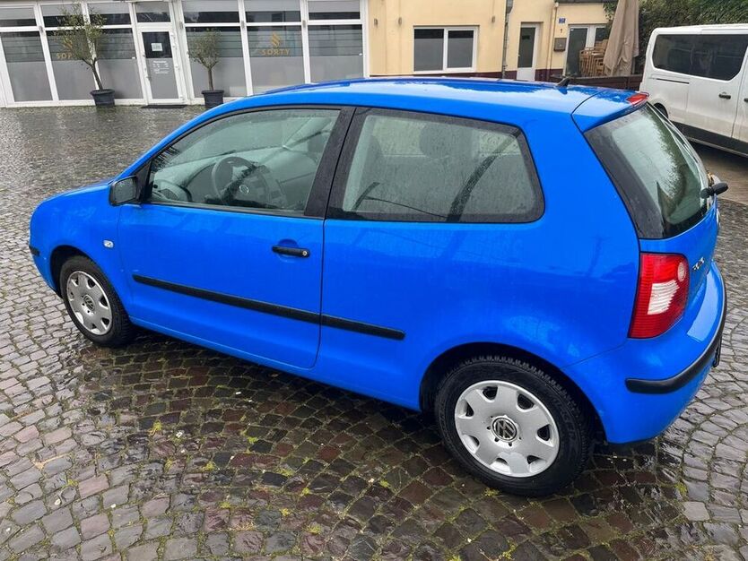 Polo