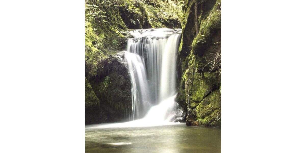 Etagenwohnung Oberkirch Tiergarten - 2 Zimmer, 48 m&sup2;, 410&euro; | Angebot:25531217