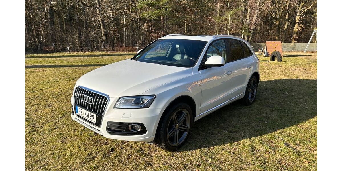 Audi Q5 158.500 km 17.600 &euro; Lehmrade 23883