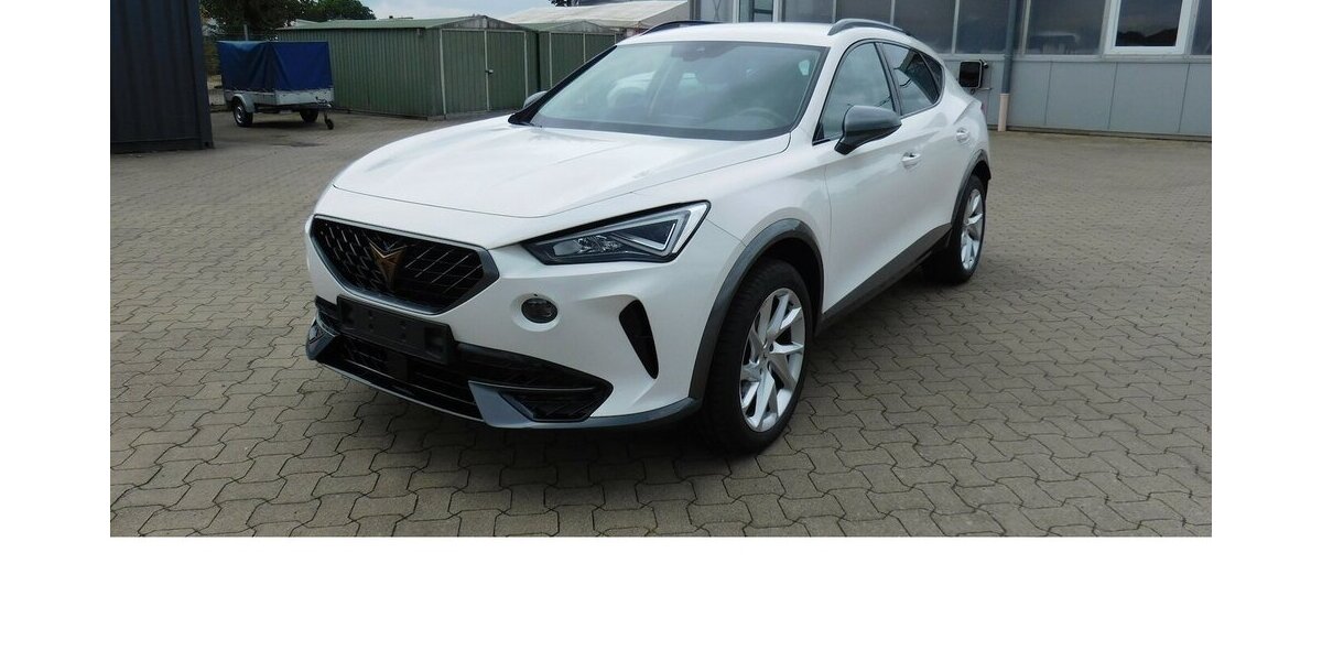 Cupra Formentor 1.5 TSI BMT Klima LED Alu 18.400 km 21.990 &euro; Vordorf 38533