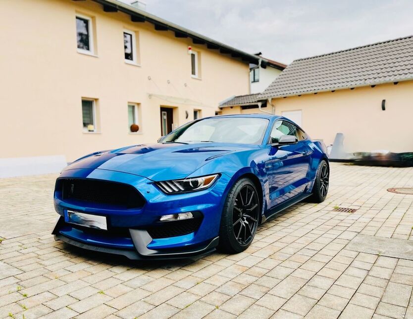 Mustang