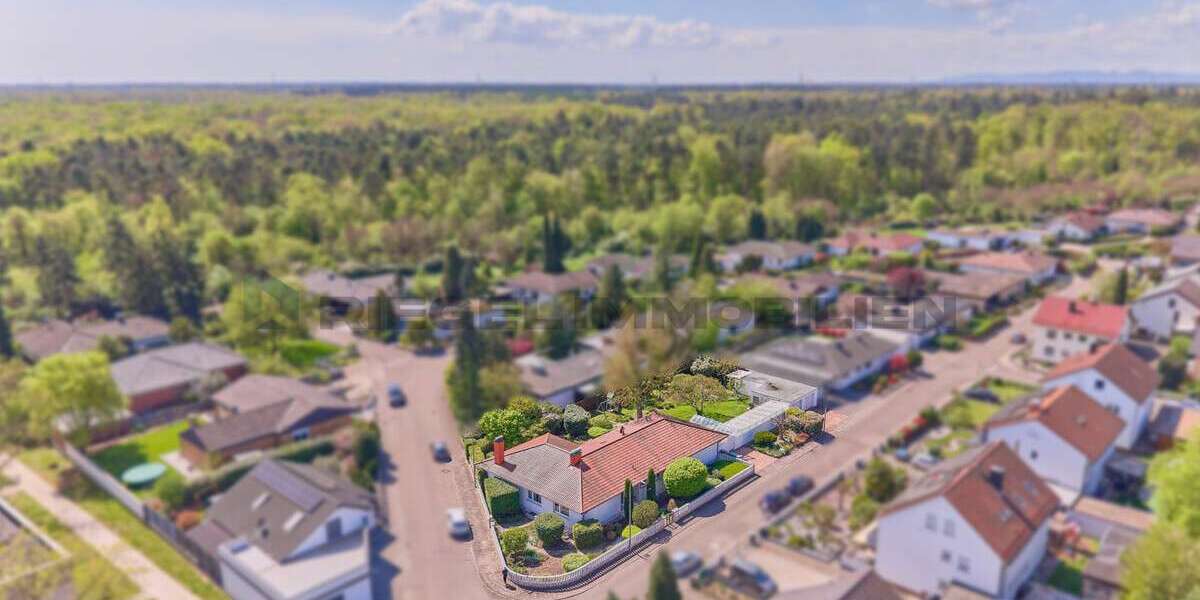 Einfamilienhaus Wörth am Rhein - 7 Zimmer, 243 m&sup2;, 1.195.000&euro; | Angebot:26361568