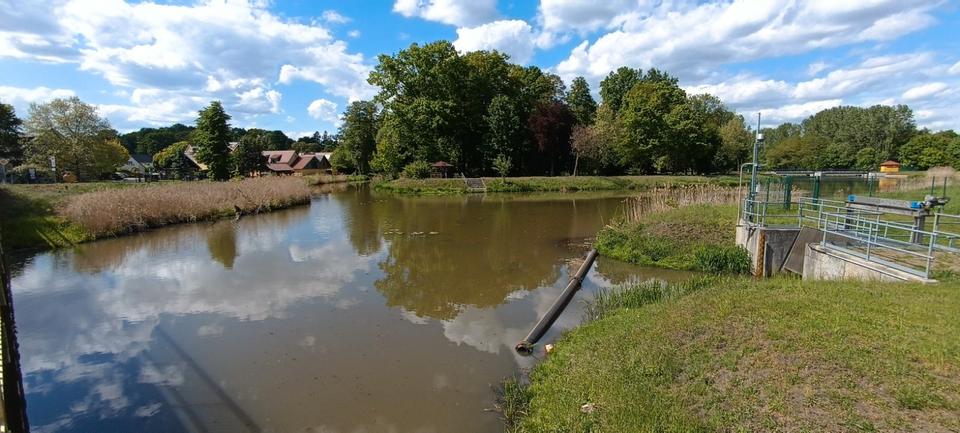 Einfamilienhaus Weißwasser (Oberlausitz) - 6 Zimmer, 90 m&sup2;, 90.000&euro; | Angebot:26030434