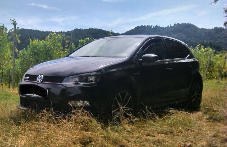 Polo