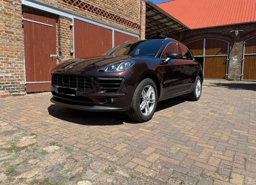 Macan