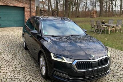 Skoda Octavia 299.000 km 12.299 &euro; Jessen 06917