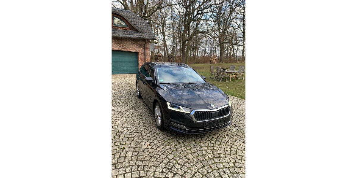 Skoda Octavia 299.000 km 12.299 &euro; Jessen 06917