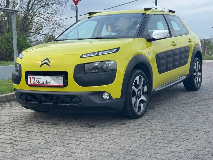 C4 Cactus