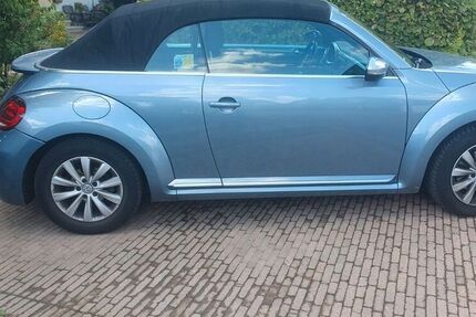 VW Beetle