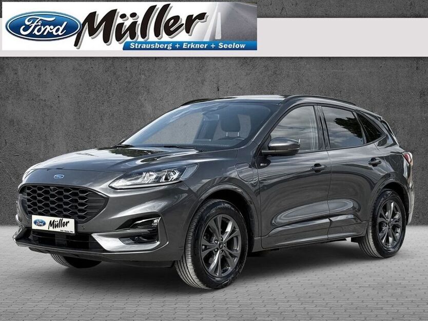 Kuga