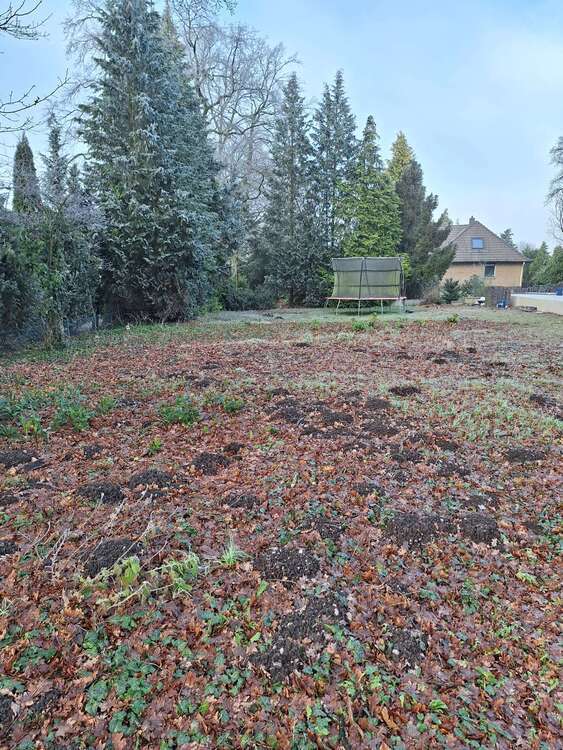 Grundstück zu verkaufen in Oyten 205.000 € 543 m²