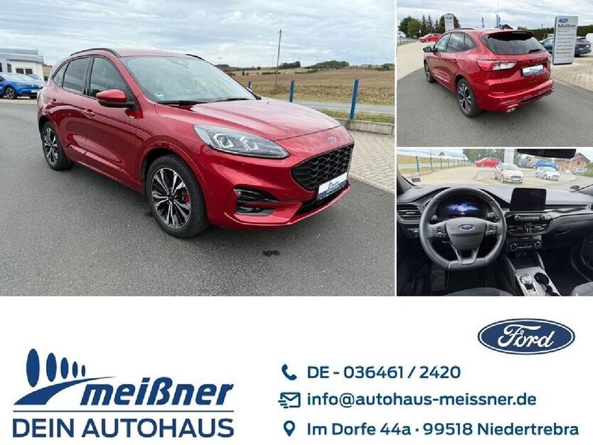 Kuga