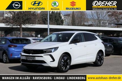 Opel Grandland (X) 18.780 km 24.490 &euro; Wangen 88239