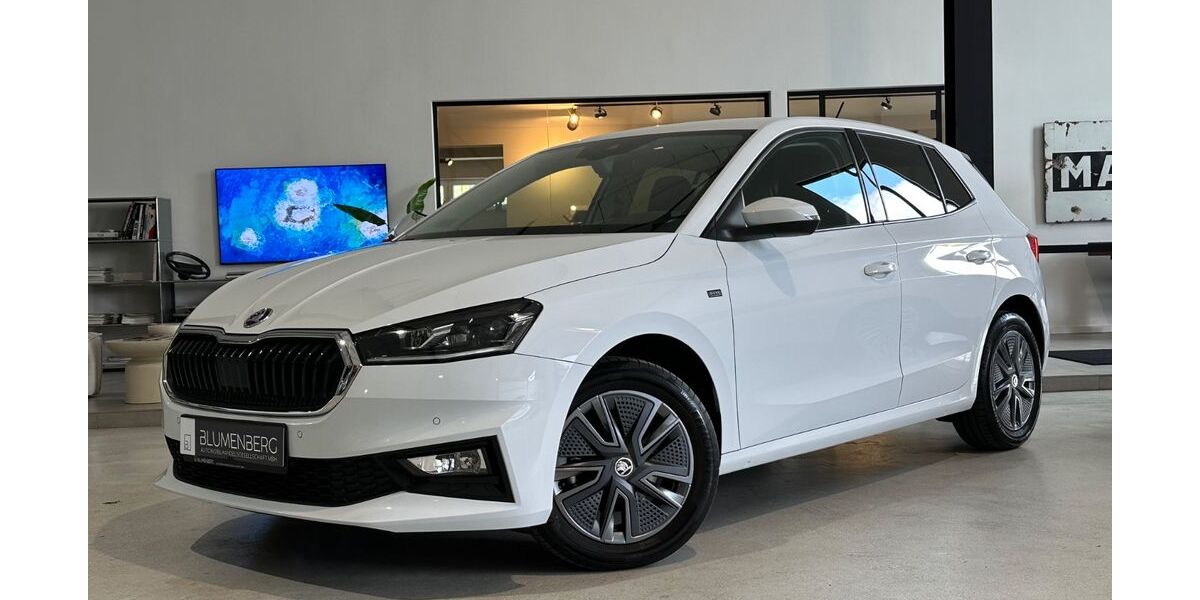 Skoda Fabia 36.809 km 20.980 &euro; Rodgau-Weiskirchen/nähe Frankfurt am Main 63110