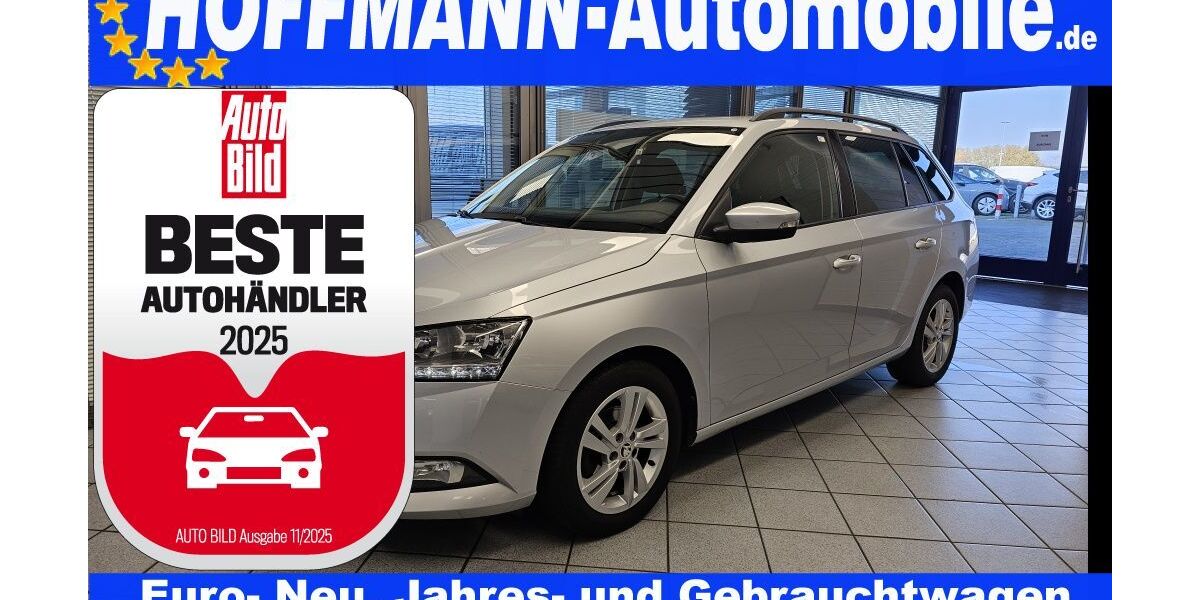 Skoda Fabia 122.227 km 11.700 &euro; Wolfsburg-Heiligendorf 38444