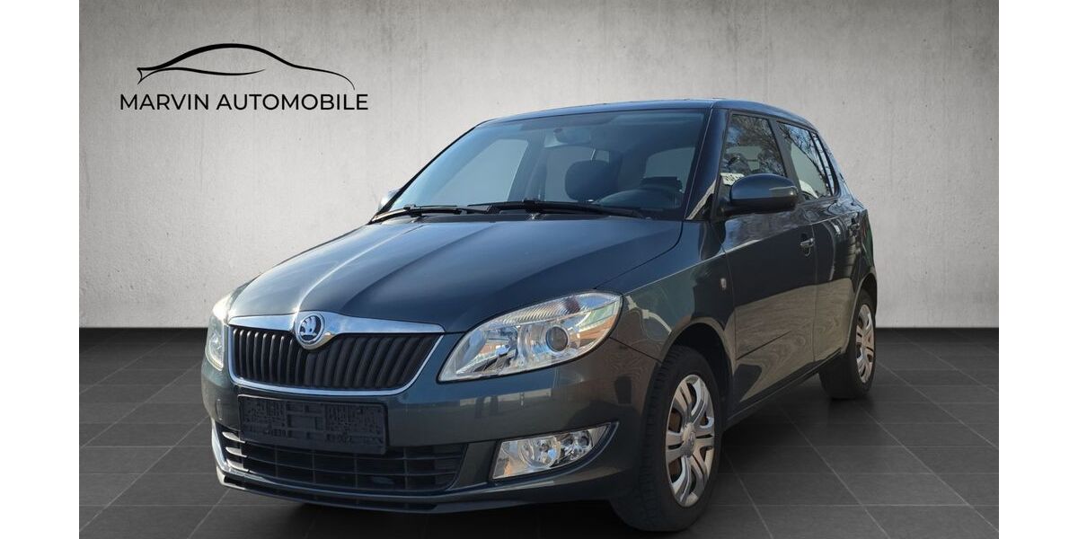 Skoda Fabia 35.532 km 7.480 &euro; Schellhorn 24211