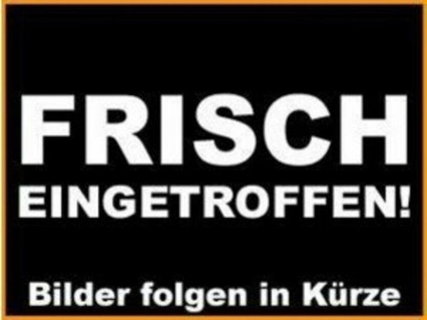 T-Roc 1.5 TSI *Style* DSG Klima Pano Leder LED