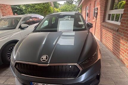 Skoda Enyaq 106.000 km 22.000 &euro; Wallenhorst 49134