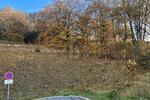BAUAREAL IN NATURNAHER LAGE - Grundstück Bad Berneck im Fichtelgebirge | Angebot:26952118