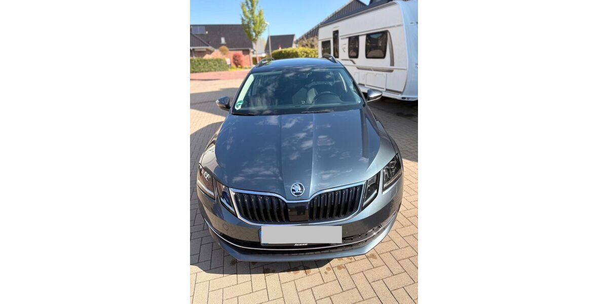 Skoda Octavia 139.559 km 14.500 &euro; Horstmar 48612