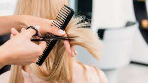 Gewerbeobjekt Braunschweig - 1.450&euro; | Angebot:25446594