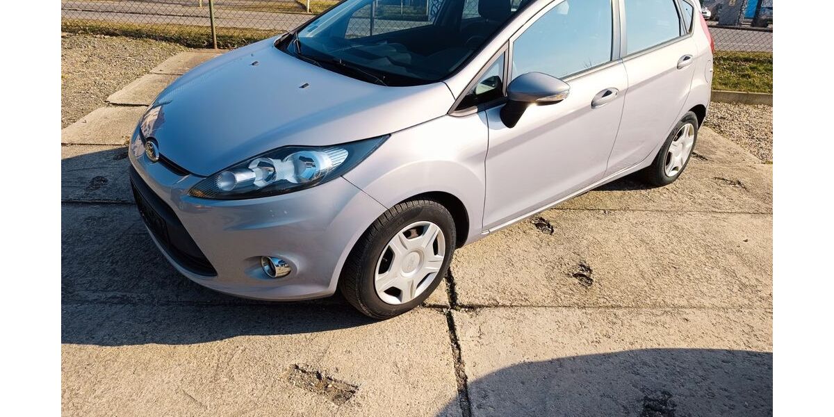 Ford Fiesta 99.989 km 4.600 &euro; Gera 07551