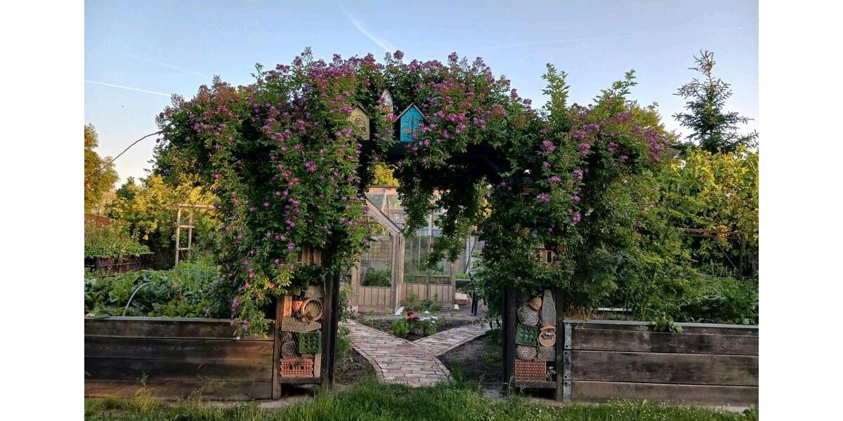 Einfamilienhaus Steinhöfel - 7 Zimmer, 350 m&sup2;, 875.000&euro; | Angebot:27146408