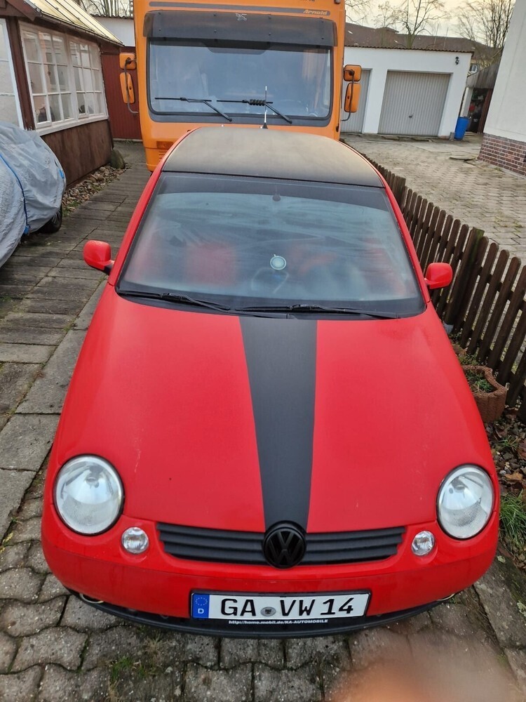 Lupo