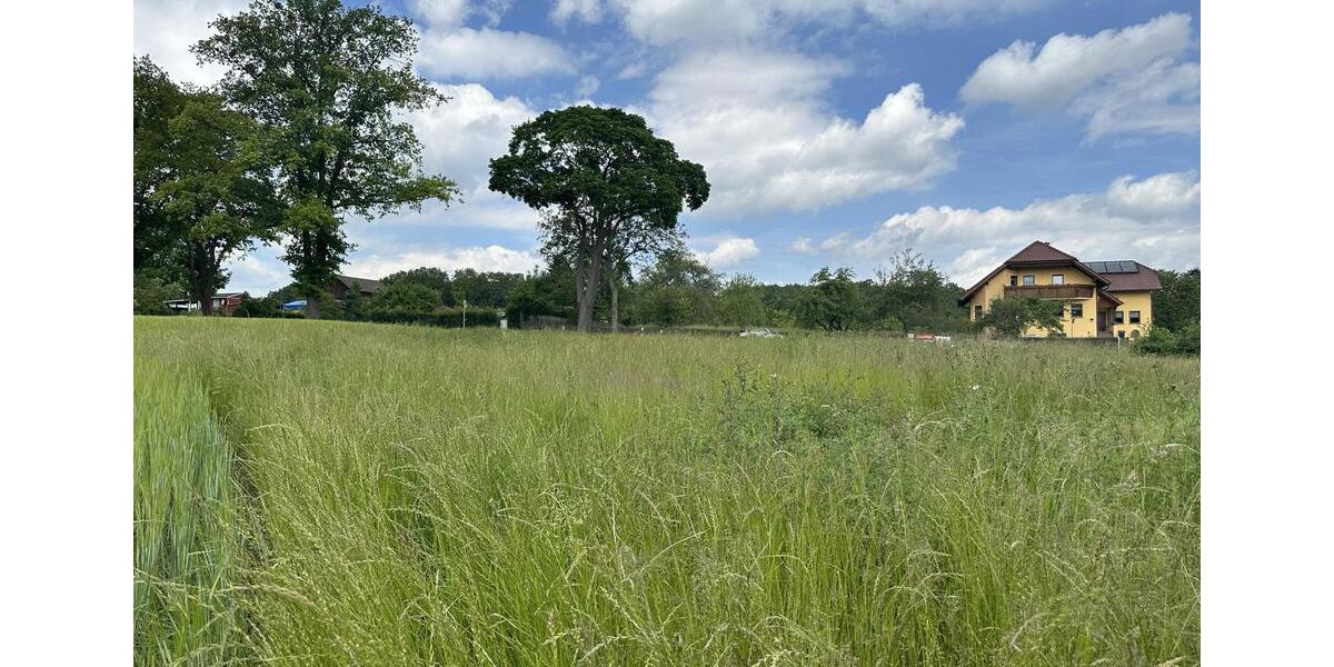 Grundstück Reichenbach im Vogtland - 115.000&euro; | Angebot:19815699