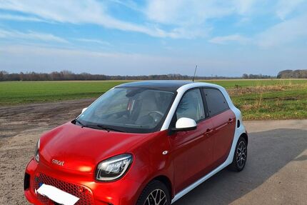 Smart ForFour 29.000 km 11.399 &euro; Molbergen 49696