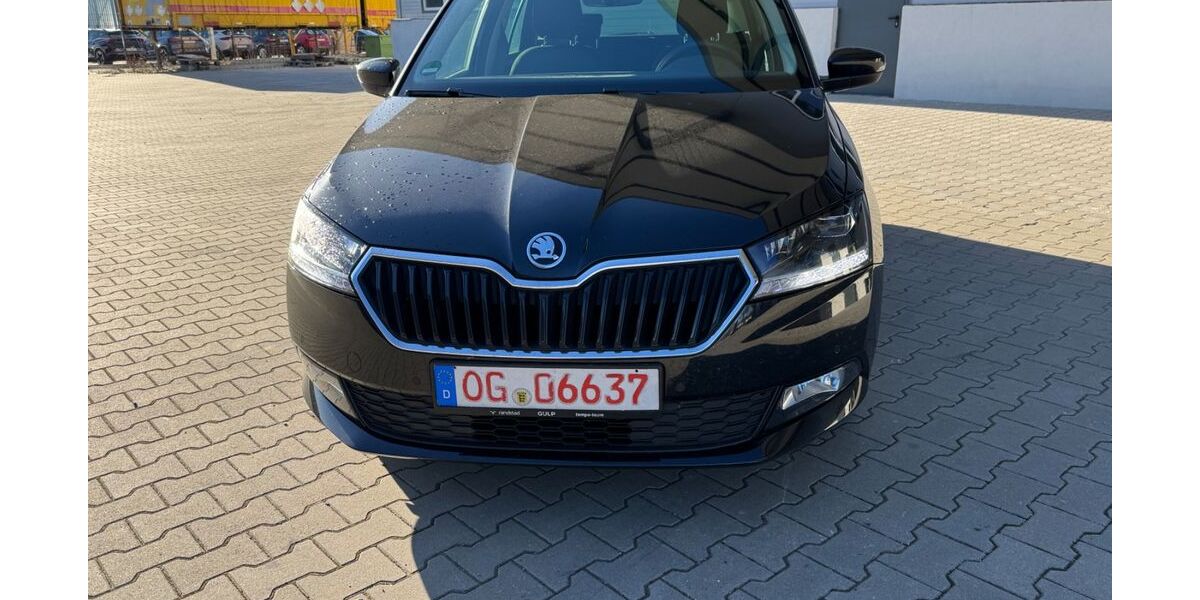 Skoda Fabia 122.689 km 12.150 &euro; Offenburg 77654