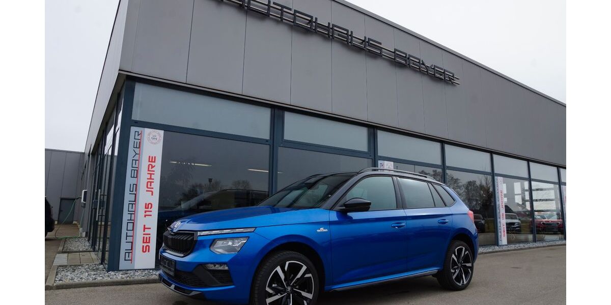 Skoda Kamiq 16.167 km 28.390 &euro; Salgen, Pfaffenhausen 87775